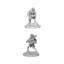 Nolzurs Marvelous Miniatures - Drow